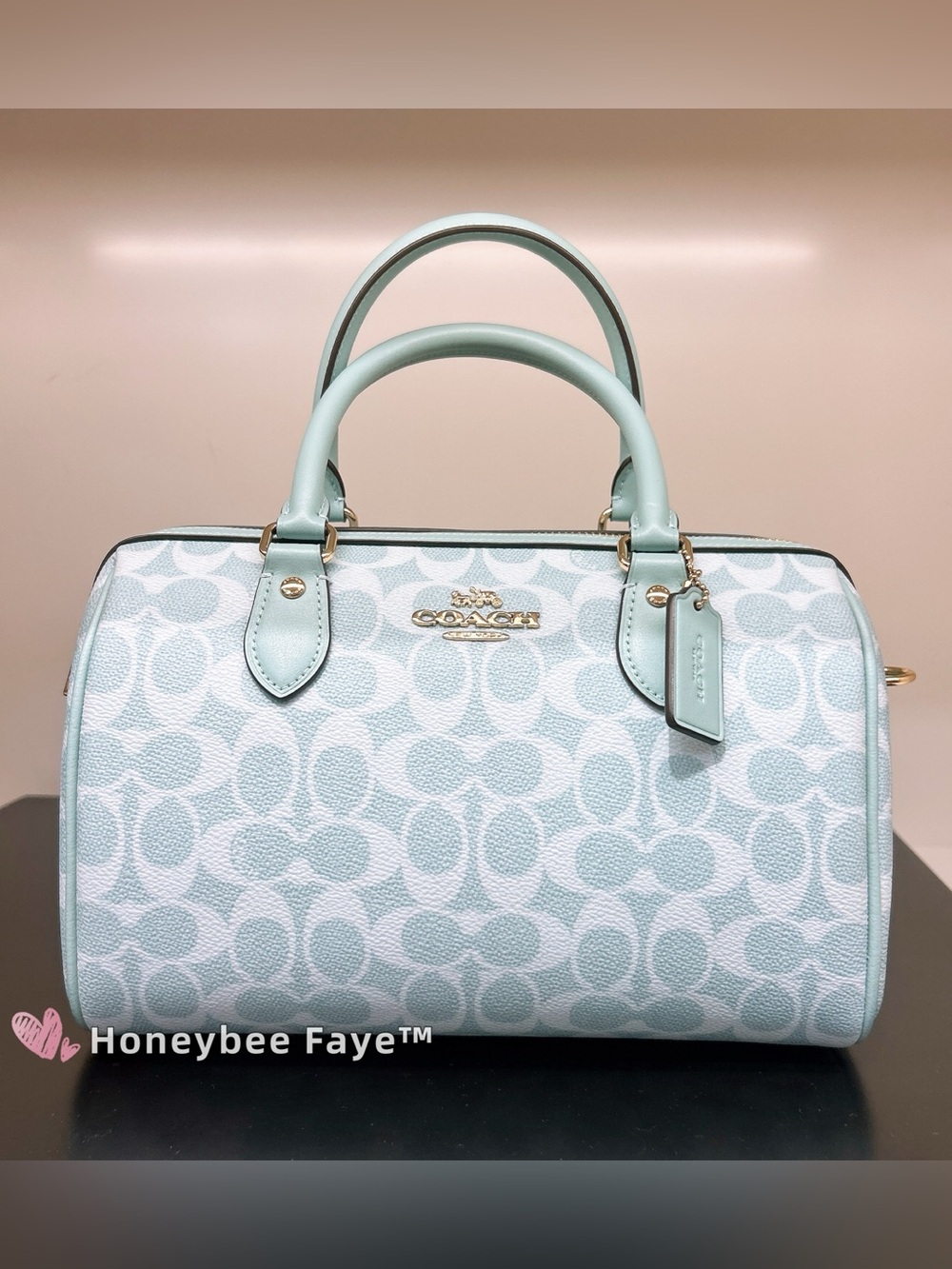 Coach Signature Rowan Satchel in blue and White- regular size